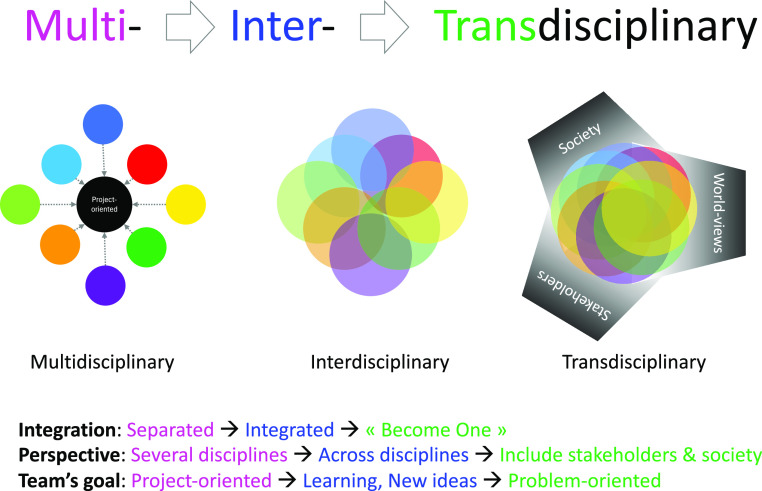 Convergence and transdisciplinary teaching in quantitative biology.