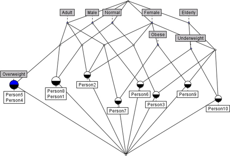 Toward reliable machine learning with <i>Congruity</i>: a quality measure based on formal concept analysis.