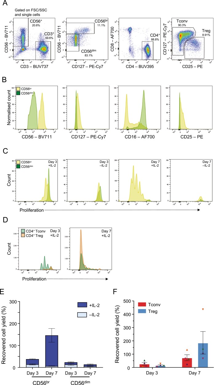 CD56<sup>bright</sup> natural killer cells preferentially kill proliferating CD4<sup>+</sup> T cells.