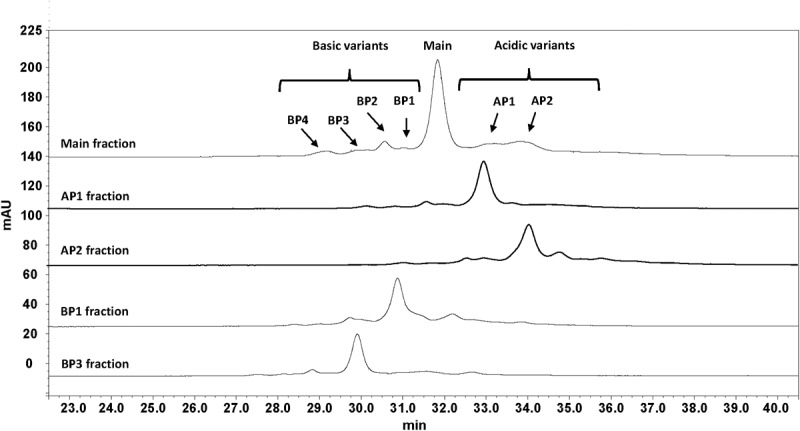 Restoring the biological activity of crizanlizumab at physiological conditions through a pH-dependent aspartic acid isomerization reaction.