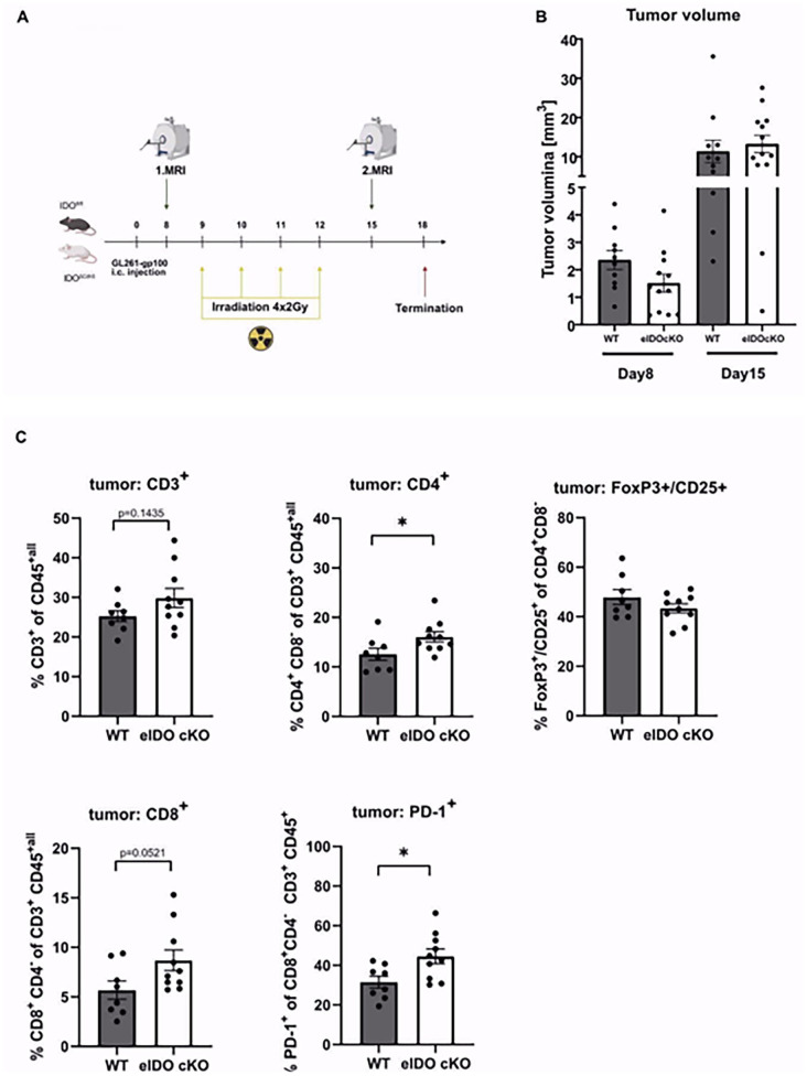 Endothelial Indoleamine-2,3-Dioxygenase-1 is not Critically Involved in Regulating Antitumor Immunity in the Central Nervous System.