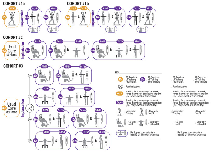 Spinal cord epidural stimulation for motor and autonomic function recovery after chronic spinal cord injury: A case series and technical note.