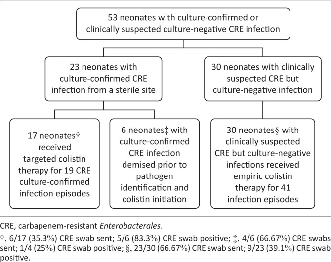 Colistin use in a carbapenem-resistant <i>Enterobacterales</i> outbreak at a South African neonatal unit.