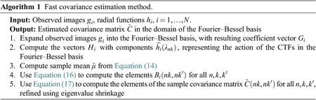 Fast principal component analysis for cryo-electron microscopy images.