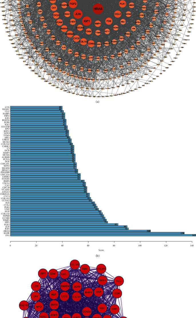 Eight Aging-Related Genes Prognostic Signature for Cervical Cancer.