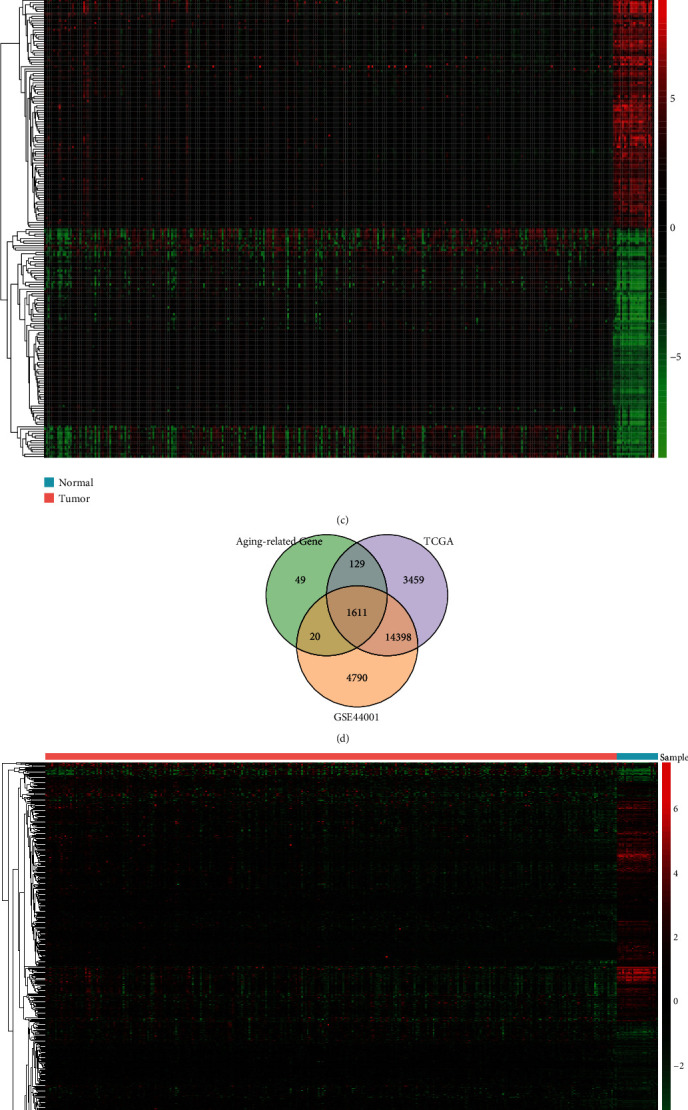 Eight Aging-Related Genes Prognostic Signature for Cervical Cancer.