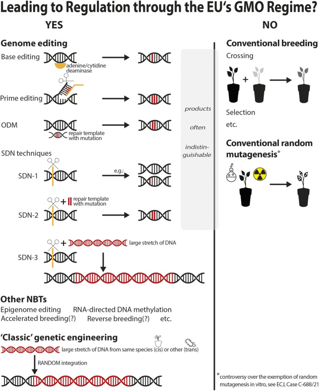 EU regulation of gene-edited plants-A reform proposal.