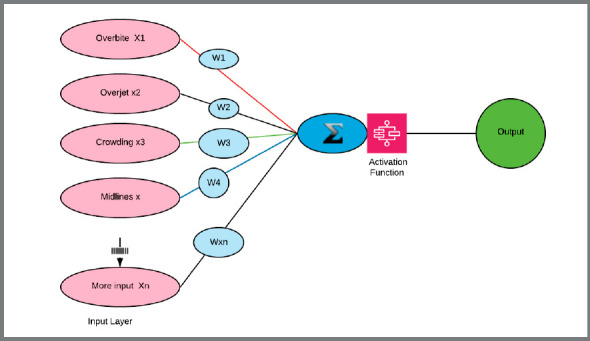 Decoding Deep Learning applications for diagnosis and treatment planning.