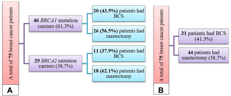 Is Breast Conserving Surgery Efficacious in Breast Cancer Patients with <i>BRCA1</i> or <i>BRCA2</i> Germline Mutation?