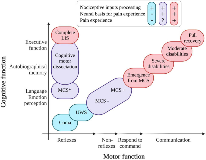 Assessment and management of pain/nociception in patients with disorders of consciousness or locked-in syndrome: A narrative review.