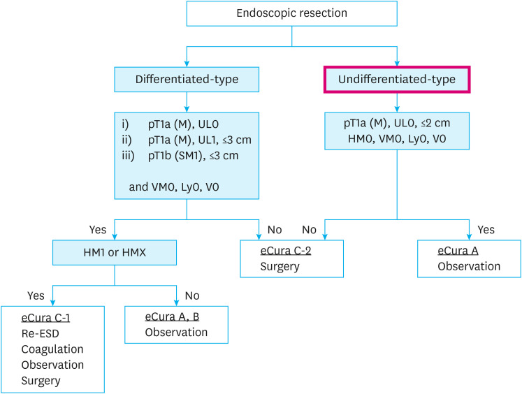 Endoscopic Resection of Undifferentiated Early Gastric Cancer.