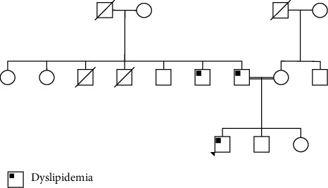 Sitosterolemia: A Case Report and a Concise Literature Review.