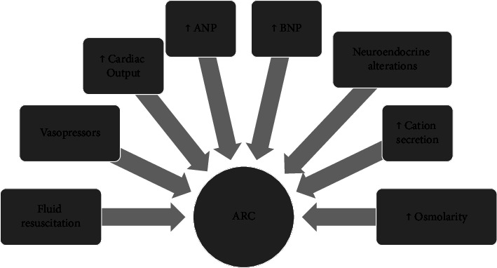 Critically Ill Patients with Renal Hyperfiltration: Optimizing Antibiotic Dose.