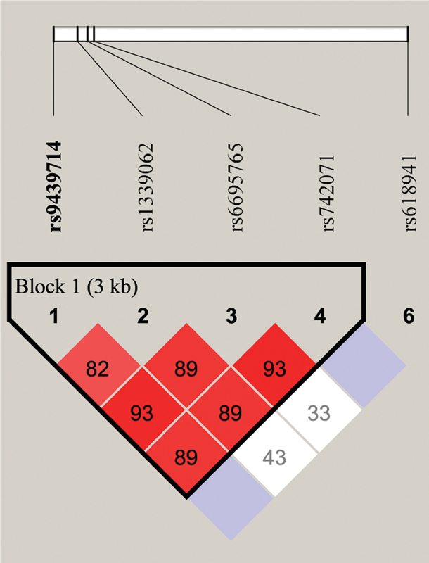 Maternal Transmission of the <i>PAX7</i> Single Nucleotide Polymorphisms among Indian Cleft Trios.