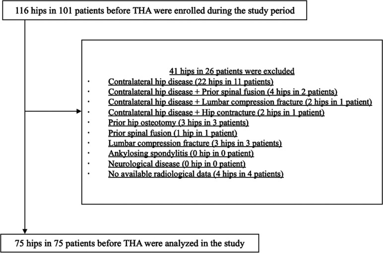 Measurement of spinopelvic sagittal alignment in the relaxed seated position rather than in the straight seated position is suitable for assessing spinopelvic mobility in patients before total hip arthroplasty.