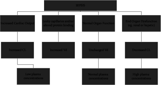 Critically Ill Patients with Renal Hyperfiltration: Optimizing Antibiotic Dose.