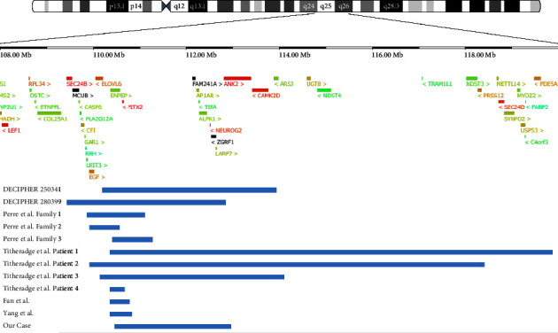 4q25 Microdeletion with Axenfeld-Rieger Syndrome and Developmental Delay.