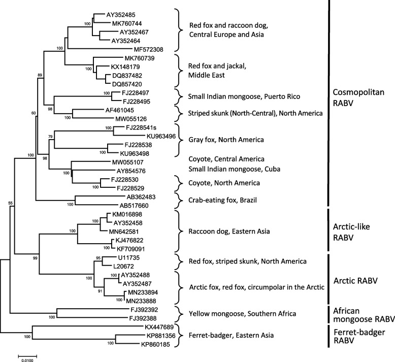 Rabies in a postpandemic world: resilient reservoirs, redoubtable riposte, recurrent roadblocks, and resolute recidivism.