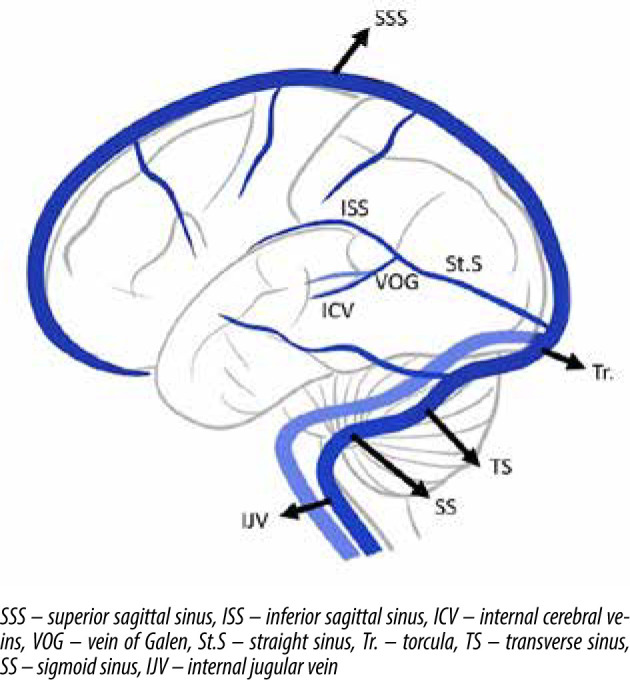 Endovascular management of cerebral venous thrombosis: a tertiary-centre experience.