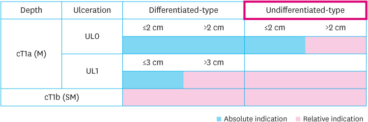 Endoscopic Resection of Undifferentiated Early Gastric Cancer.