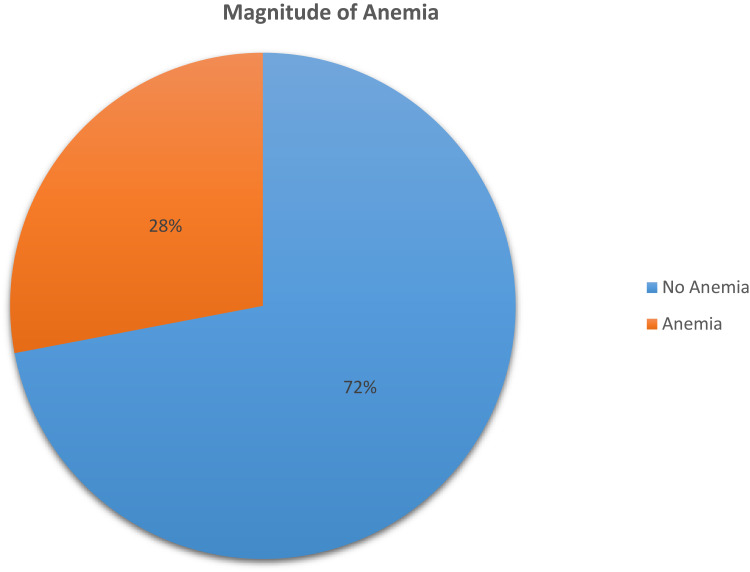 Anemia Among Women Using Family Planning at Public Health Facilities in Ambo Town, Central Ethiopia: Multi-Center Cross-Sectional Study.