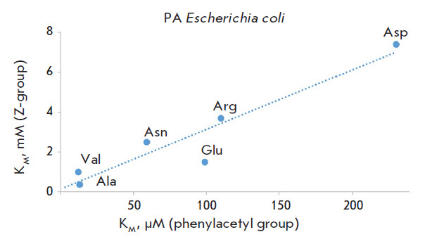 Specificity of Penicillin Acylases in Deprotection of N-Benzyloxycarbonyl Derivatives of Amino Acids.