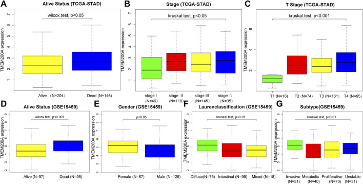 High expression of TMEM200A is associated with a poor prognosis and immune infiltration in gastric cancer.