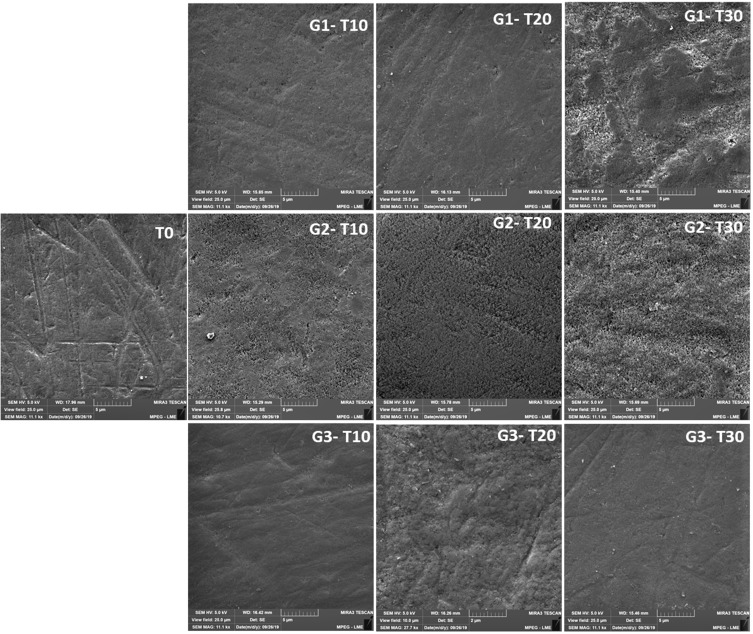 Influence of Tucupi on Enamel Surface Roughness, Microhardness, Ultramorphology and Mass Variation.