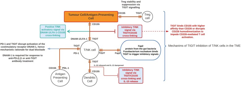 TIGIT-based immunotherapeutics in lung cancer.