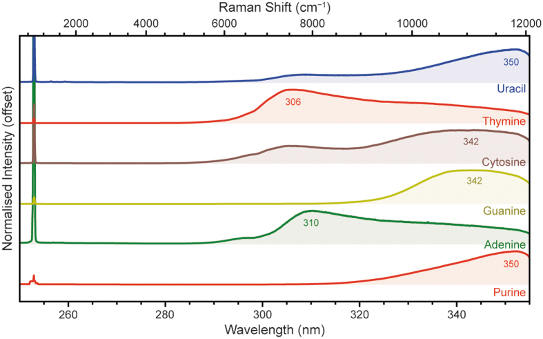 A Deep Ultraviolet Raman and Fluorescence Spectral Library of 51 Organic Compounds for the SHERLOC Instrument Onboard Mars 2020.