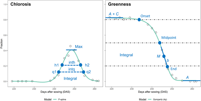 Combining High-Resolution Imaging, Deep Learning, and Dynamic Modeling to Separate Disease and Senescence in Wheat Canopies.