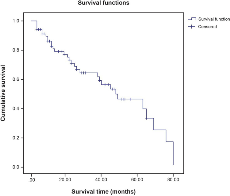 Survival Rates in Elderly Patients on Continuous Ambulatory Peritoneal Dialysis.