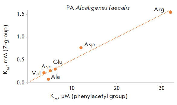 Specificity of Penicillin Acylases in Deprotection of N-Benzyloxycarbonyl Derivatives of Amino Acids.