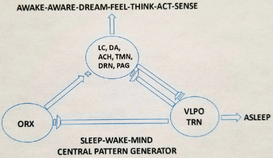 The Electroencephalographic Brainwave Spectrum, Mindful Meditation, and Awareness: Hypothesis.