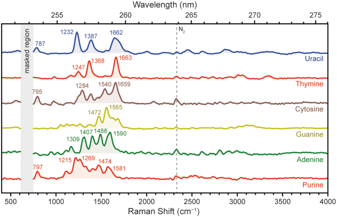 A Deep Ultraviolet Raman and Fluorescence Spectral Library of 51 Organic Compounds for the SHERLOC Instrument Onboard Mars 2020.