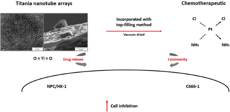 Localised Delivery of Cisplatin from Chitosan-Coated Titania Nanotube Array Nanosystems Targeting Nasopharyngeal Carcinoma.