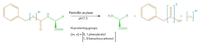 Specificity of Penicillin Acylases in Deprotection of N-Benzyloxycarbonyl Derivatives of Amino Acids.