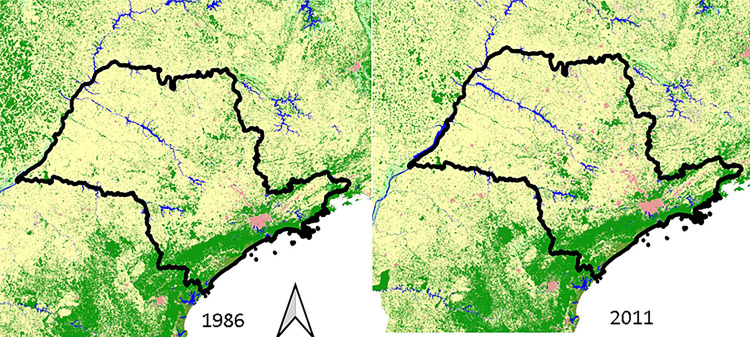 Genetic characterization of the rare Bruconha virus (Bunyavirales: Orthobunyavirus) isolated in Vale do Ribeira (Atlantic Forest biome), Southeastern Brazil.