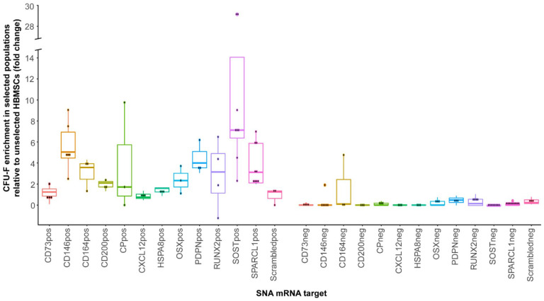 Single-cell RNA-sequence analysis of human bone marrow reveals new targets for isolation of skeletal stem cells using spherical nucleic acids.