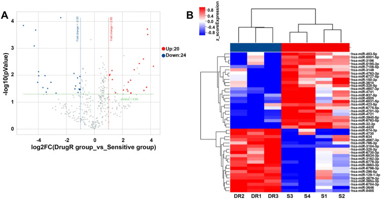 Predictive miRNAs Patterns in Blood of Breast Cancer Patients Demonstrating Resistance Towards Neoadjuvant Chemotherapy.