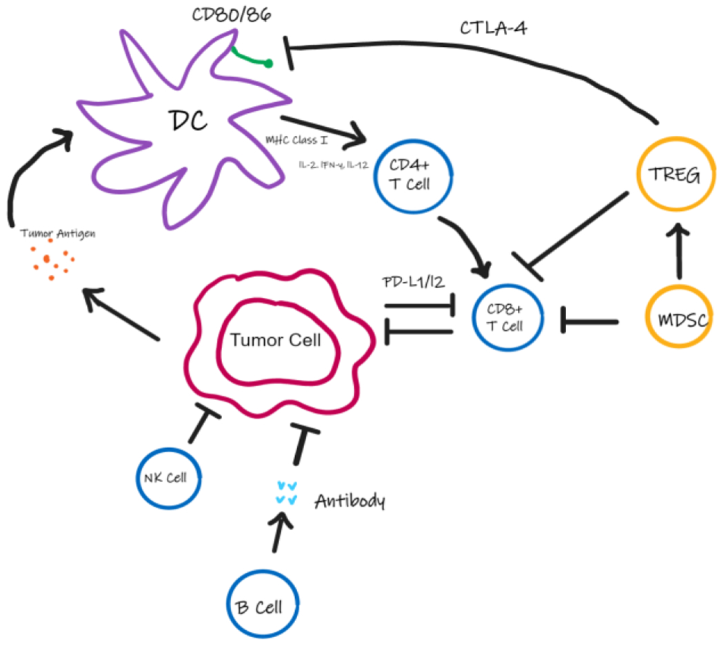 Immunotherapeutic Strategies in the Management of Osteosarcoma.