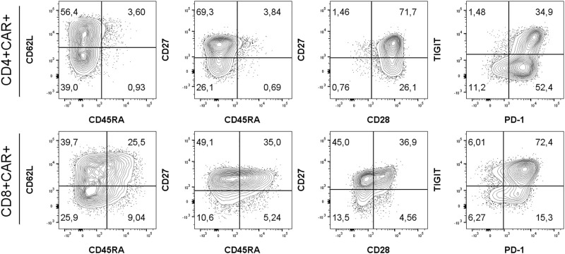 Characterization of the input material quality for the production of tisagenlecleucel by multiparameter flow cytometry and its relation to the clinical outcome.