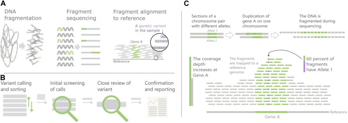 The thorny complexities of visualization research for clinical settings: A case study from genomics.