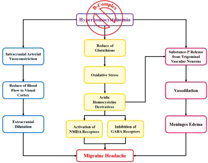 The Effects of Vitamin B-Complex Supplementation on Serum Homocysteine Levels and Migraine Severity in Children A Randomized Controlled Trial.