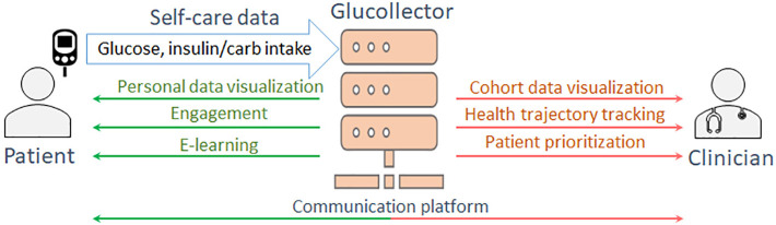 Automatic inference of hypoglycemia causes in type 1 diabetes: a feasibility study.