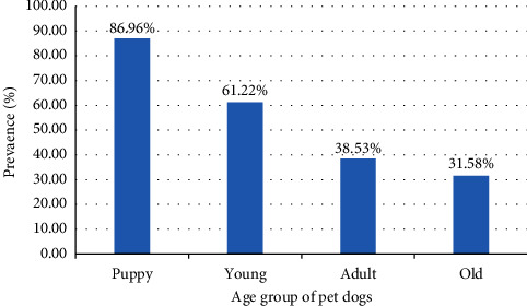 Prevalence of Zoonotic Gastrointestinal Helminth Parasite among Dogs in Suryabinayak, Nepal.