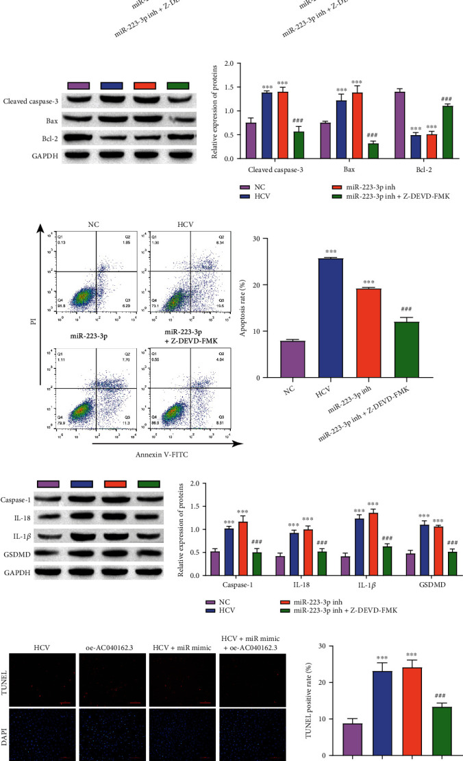 LncRNA AC040162.3 Promotes HCV-Induced T2DM Deterioration through the miRNA-223-3p/NLRP3 Molecular Axis.