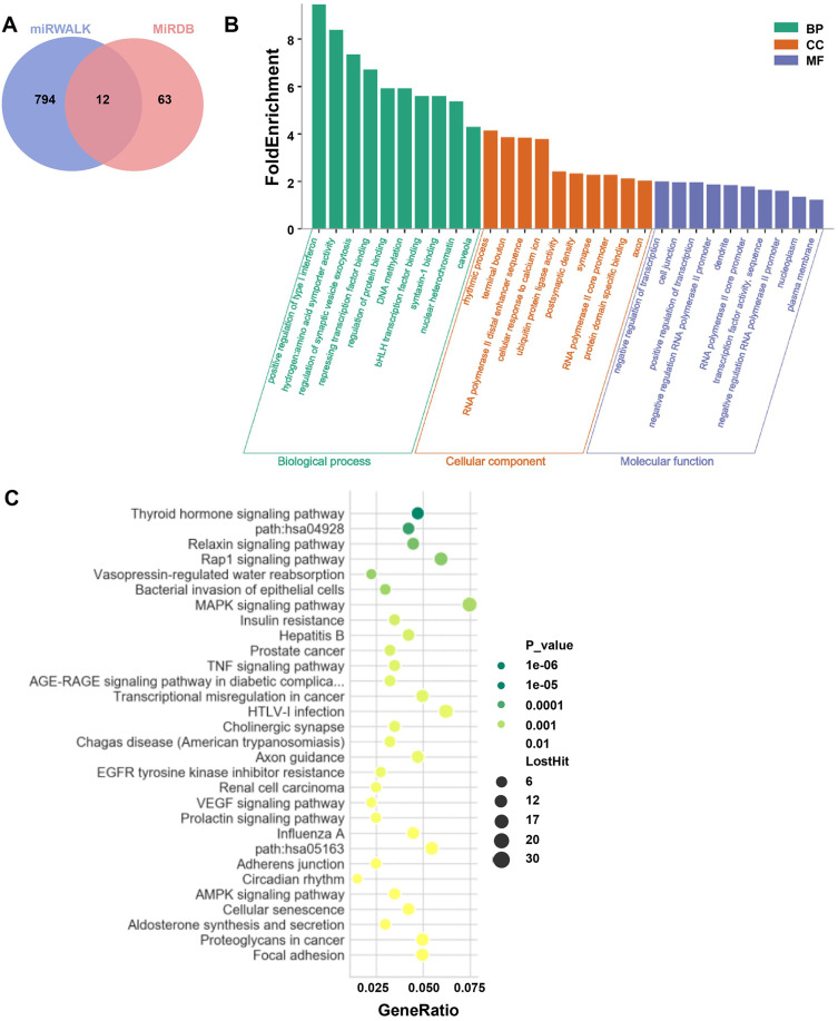 Predictive miRNAs Patterns in Blood of Breast Cancer Patients Demonstrating Resistance Towards Neoadjuvant Chemotherapy.