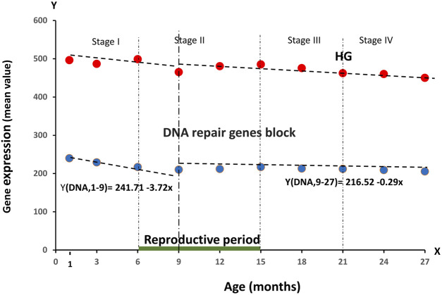 The RNA-Seq data analysis shows how the ontogenesis defines aging.