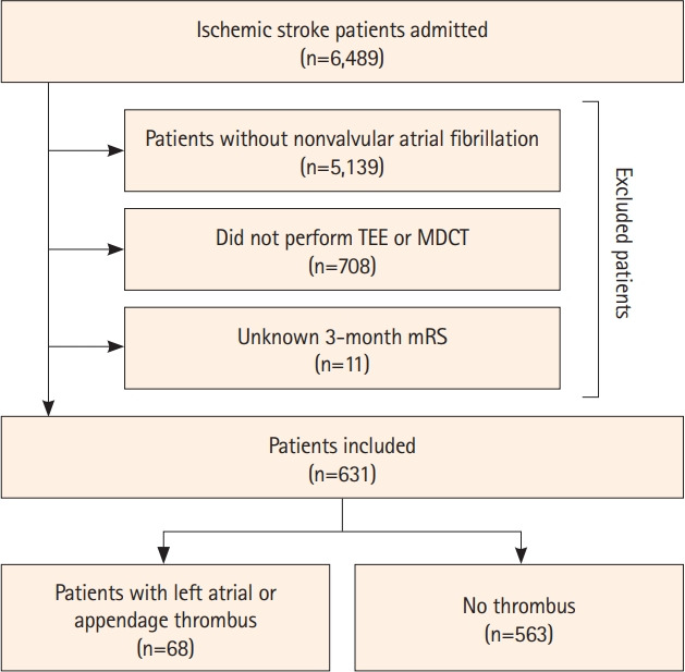 Impact of Left Atrial or Left Atrial Appendage Thrombus on Stroke Outcome: A Matched Control Analysis.